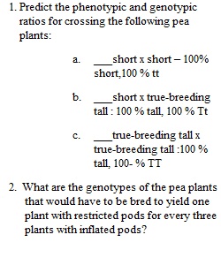 Module 3 Assignment 1 Genetics